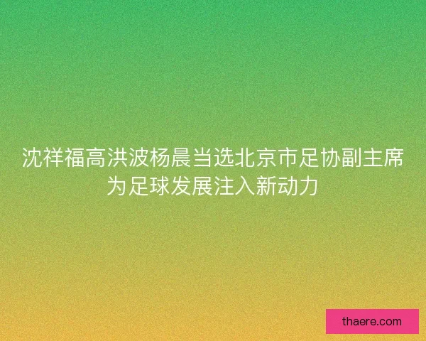 沈祥福高洪波杨晨当选北京市足协副主席为足球发展注入新动力