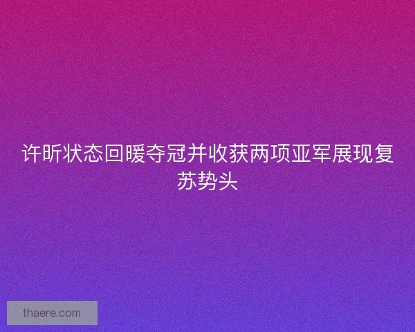 许昕状态回暖夺冠并收获两项亚军展现复苏势头