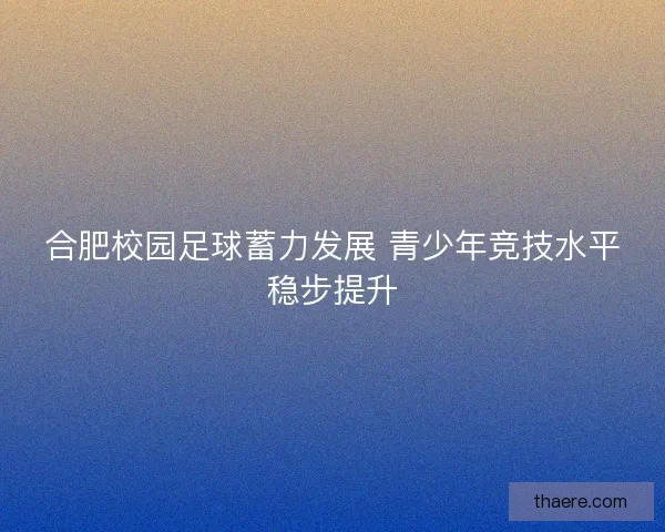 合肥校园足球蓄力发展 青少年竞技水平稳步提升